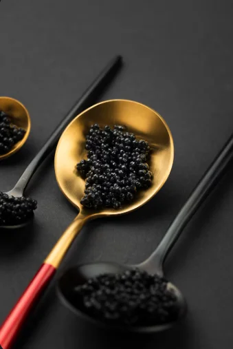 best caviar for beginners
